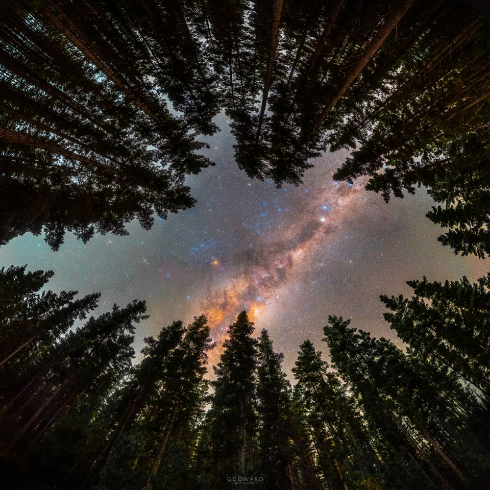 The picture shows part of the band of our Milky Way Galaxy
as seen through a ring of trees. 
Please see the explanation for more detailed information.