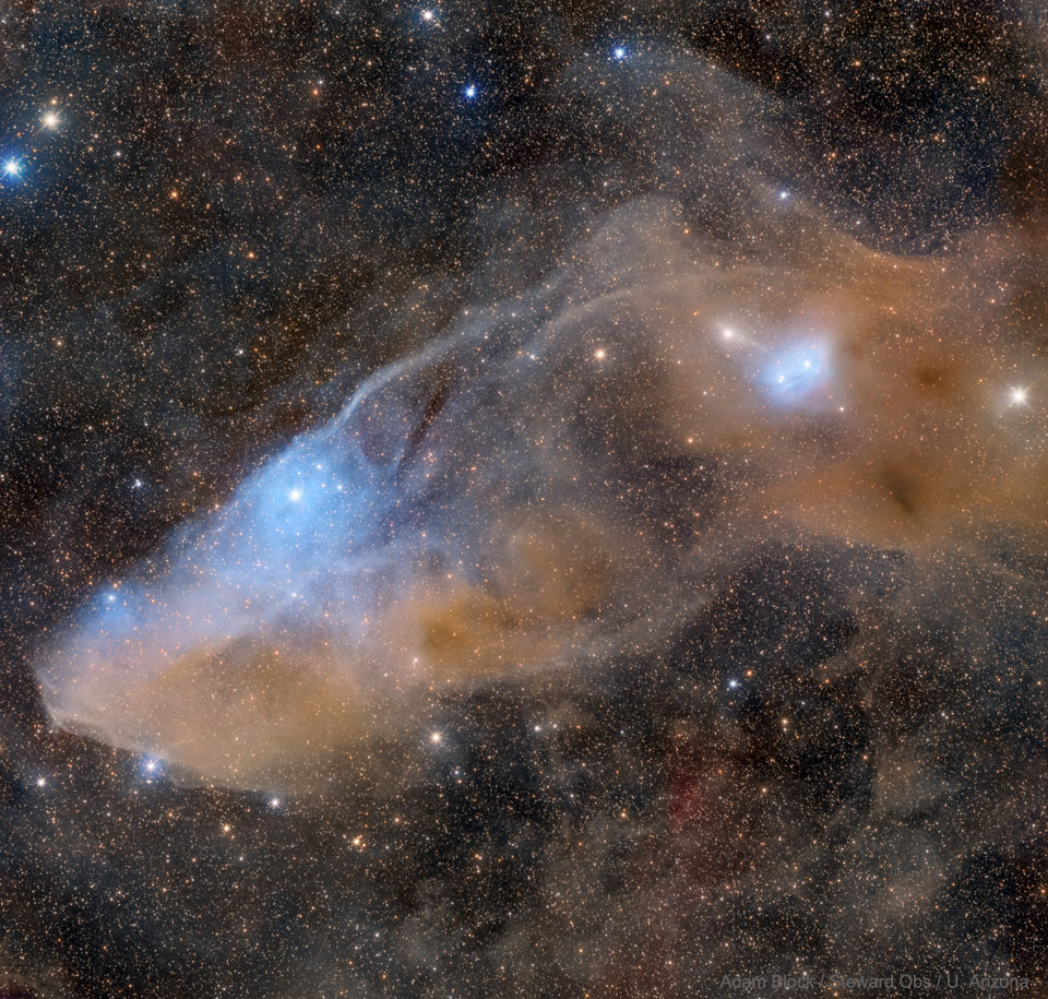 The picture shows the reflection nebula IC 4592 known as the Blue Horsehead Nebula. 
Please see the explanation for more detailed information.