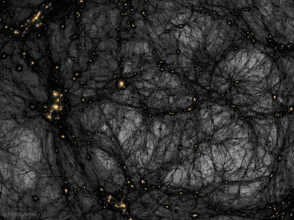 The picture shows a computer simulation of the matter
distribution in our universe with dark matter shown in a 
dark color on a light background.
Please see the explanation for more detailed information.