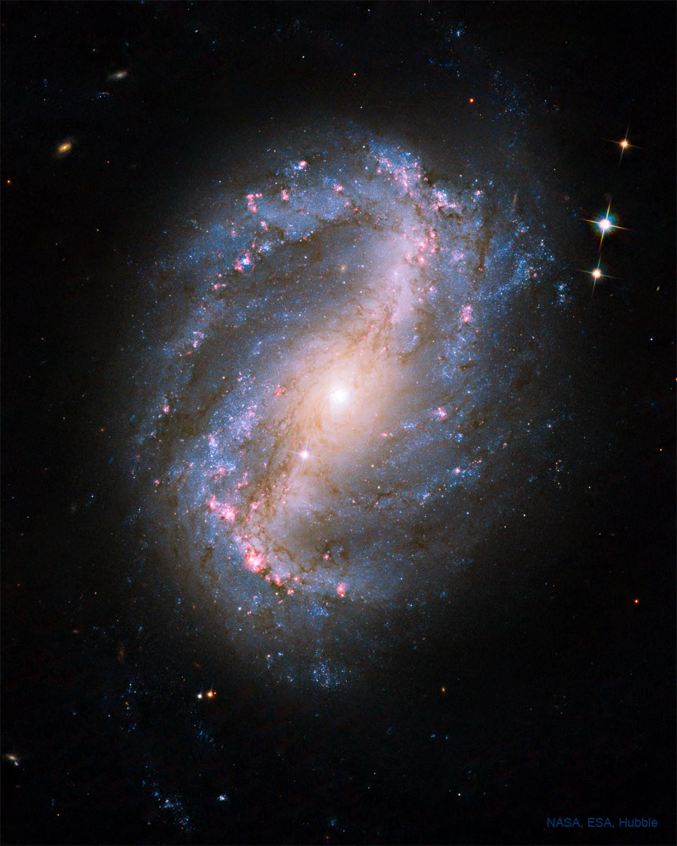 The featured image shows barred spiral galaxy NGC 6217 as
captured by the Hubble Space Telescope.
Please see the explanation for more detailed information.