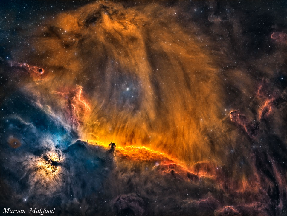 The featured image shows the the part of the 
constellation of Orion where the Horsehead and Flame
Nebulas reside. The gaseous wisps above the Horsehead
can appear, in this deep exposure, to be a lion's head.
Please see the explanation for more detailed information.