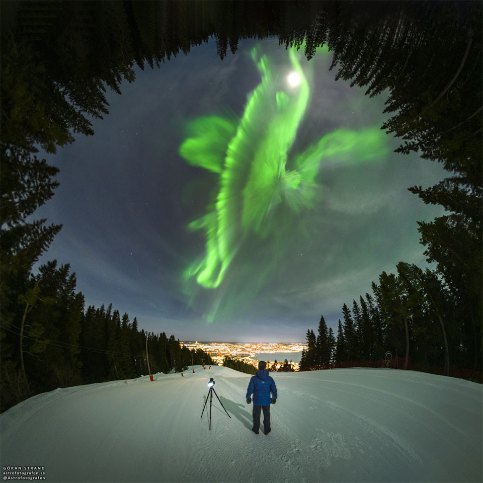 The featured image depicts a bright aurora 
captured earlier this month over Östersund, Sweden.
To some, this coronal aurora may resemble a whale.
Please see the explanation for more detailed information.