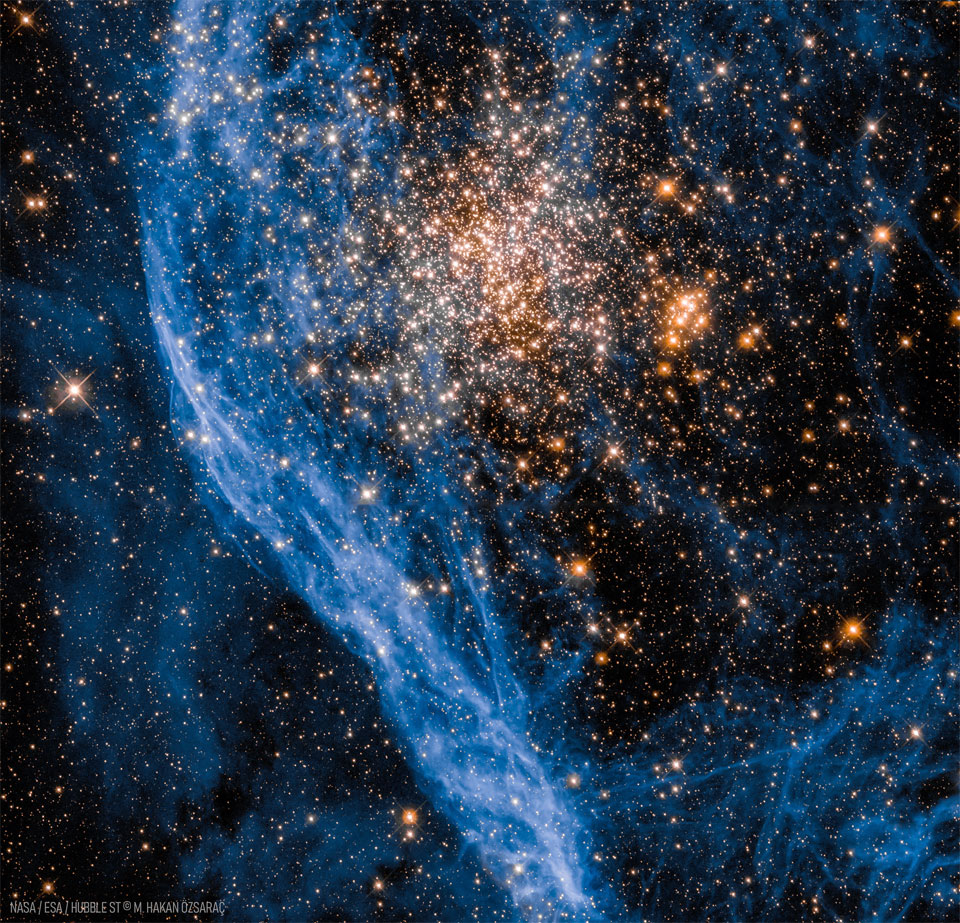A ball of yellow stars is seen to the right of blue-glowing
gas filaments. Other blue filaments and foreground stars cover
the frame. 
Please see the explanation for more detailed information.
