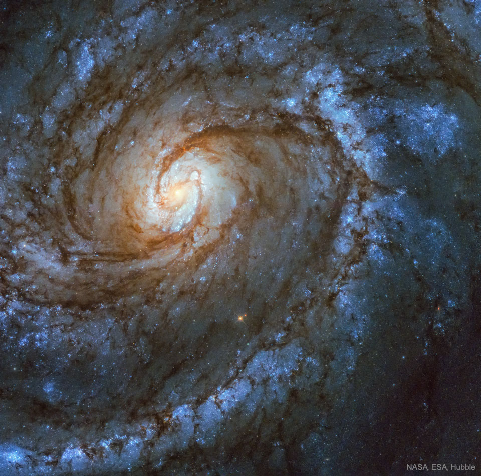 A spiral galaxy is shown with spiral arms dominated by blue stars
and with a bright central swirl that itself looks like a spiral galaxy.
Please see the explanation for more detailed information.