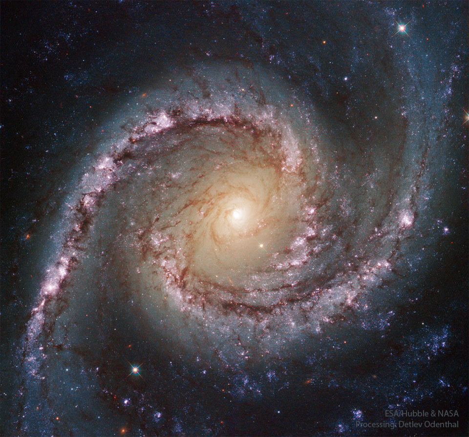 A majestic spiral galaxy is shown with spirals of bright
blue stars, bright red nebulae, and dark dust.
Please see the explanation for more detailed information.