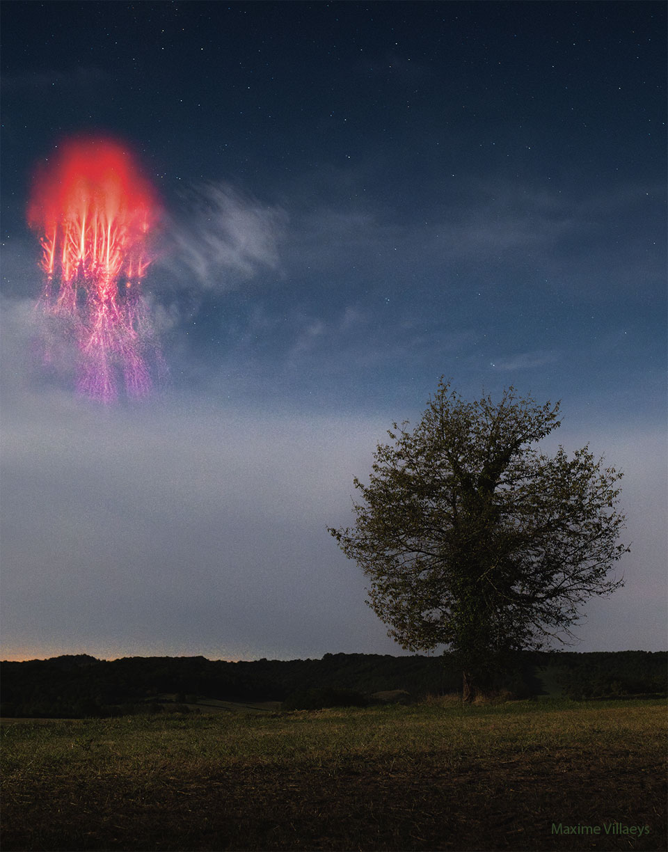 A lone tree is seen on the right of a dark grassy 
field. Above and on the right, a bright red filamentary
glow is seen in the sky. The filaments of this glow 
may seem similar to the branches of the tree.
Please see the explanation for more detailed information.