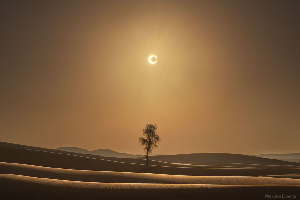 An empty desert is shown with rolling tan sand dunes and 
a tan glow to the air above. A lone tree grows in the image center.
High above, the Sun glows - but the center of the Sun is blackened
out by an unusual disk. 
Please see the explanation for more detailed information.
