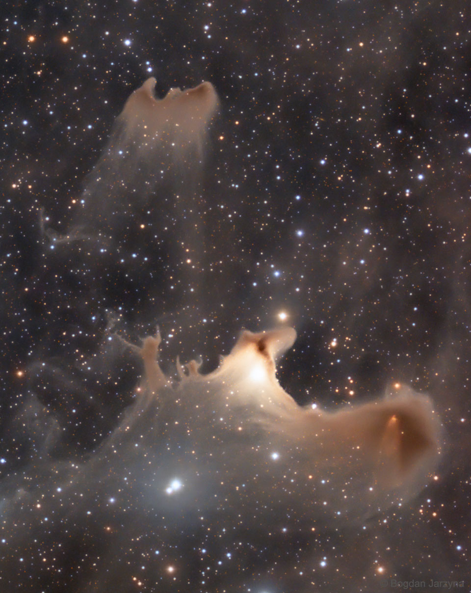 A dark starfield is shown with several brown nebulas.
Many of the nebulas appear to have unusual shapes, with
one possibly resembling a bat, while other may resemble
people.
Please see the explanation for more detailed information.