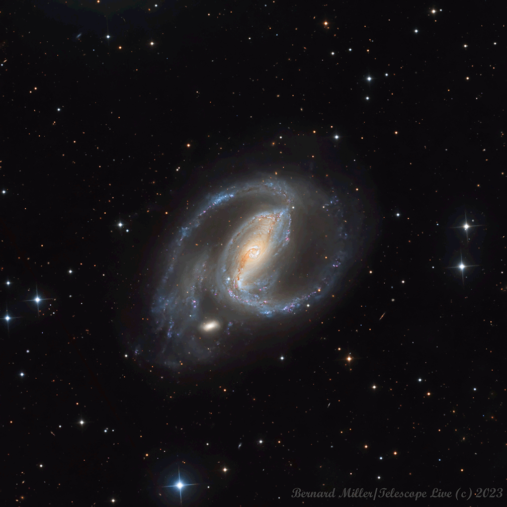 A nearby spiral galaxy is shown in great details: NGC 1097.
However the galaxy is imaged twice, once with a supernova spot
appearing on a lower spiral arm, and once without. The two frames
blink back and forth.
Please see the explanation for more detailed information.