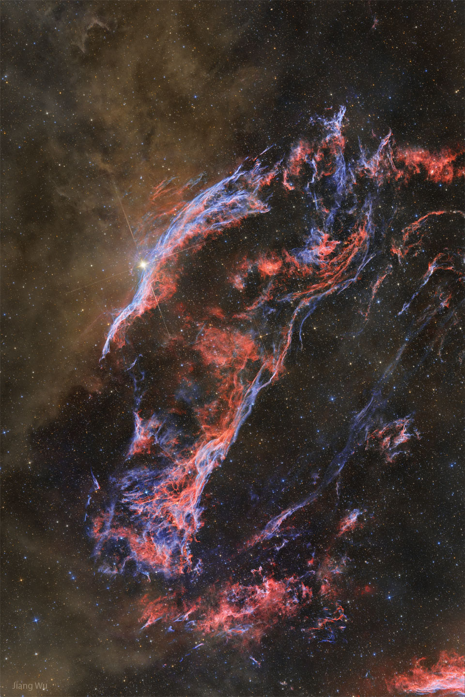 Brown glowing dust appears to the left of the blue and 
red filamentary gas that composes the western edge of the
Veil Nebula, a supernova remnant. 
Please see the explanation for more detailed information.