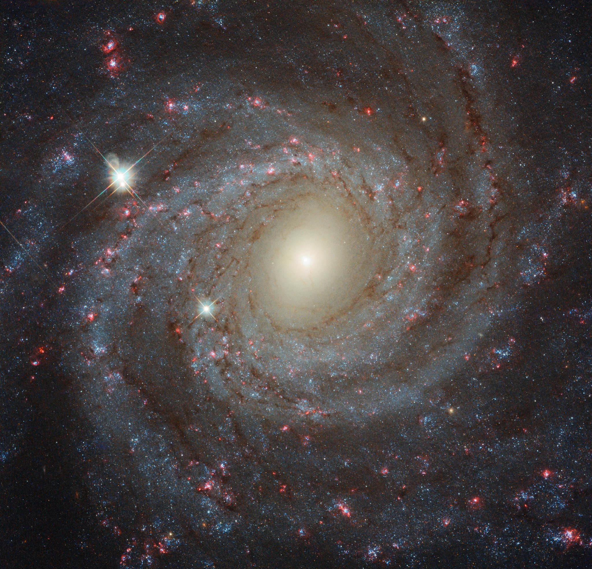 Grand spiral galaxy NGC 3344 is shown. Spiral arms
with stars, star clusters, and nebula are visible.
Please see the explanation for more detailed information.