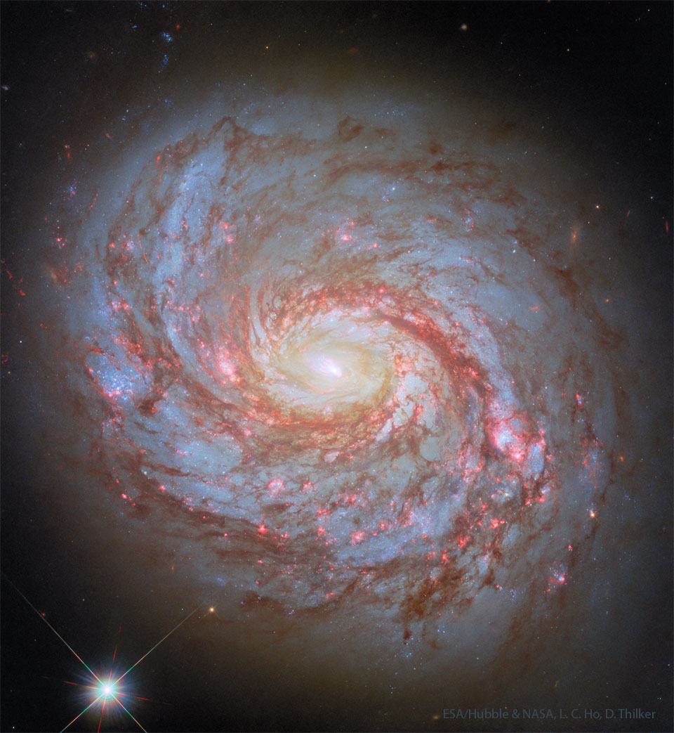 A big beautiful sprawling spiral galaxy is shown.
The galaxy has well defined spiral arms with bright blue
star clusters and dark red dust. The center is a bright
white. 
Please see the explanation for more detailed information.