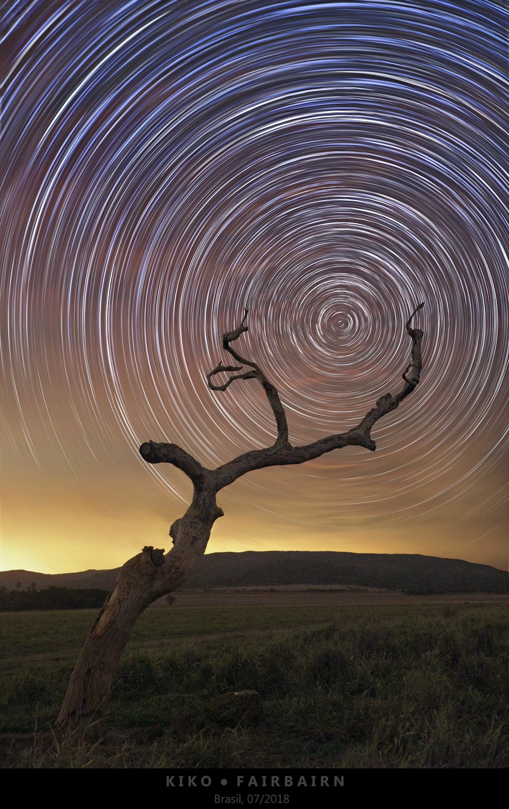 A dead tree branch on the foreground appears
	  like the axis of a spinning wheel of stars on the night sky.
	  Please see the explanation for more detailed information.