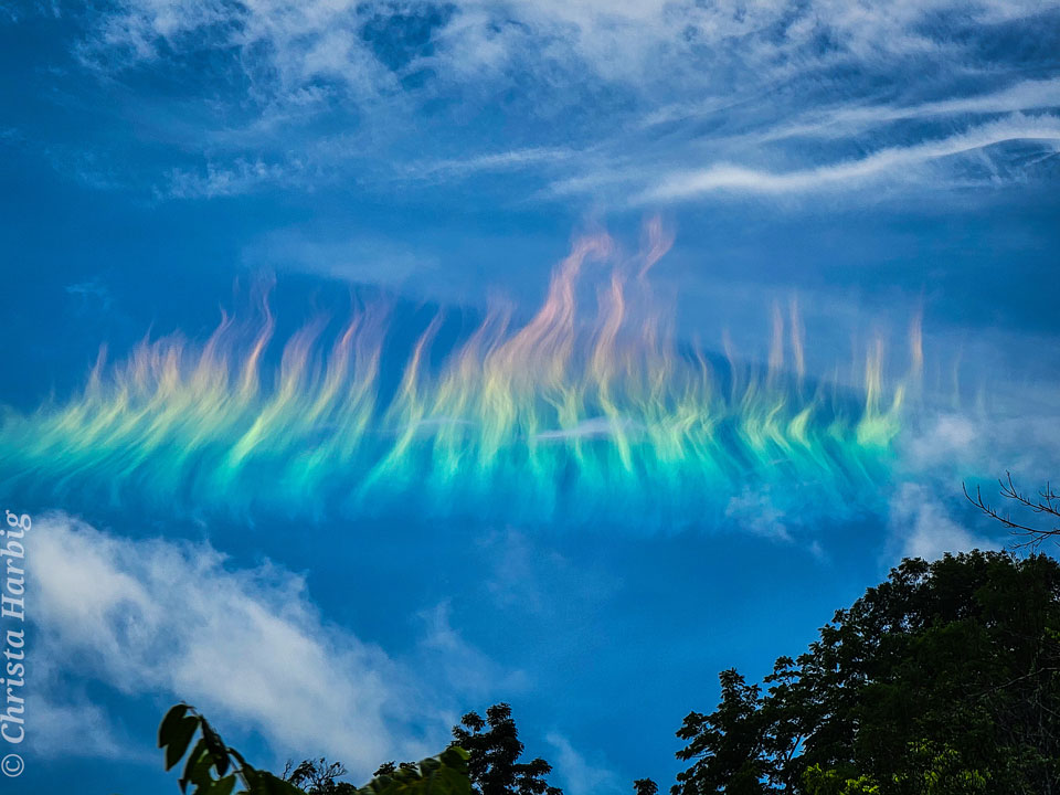 Blue sky has white clouds across the top and dark
tree tops across the bottom. Across the middle is a
very colorful row of clouds that are wavy and are 
orange at the top and green at the bottom.
Please see the explanation for more detailed information.