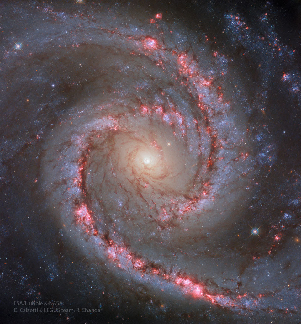 A spiral galaxy fills the frame with a white center
in the middle. Two bright arms spiral out from the center
filled with red nebulas along their spines and surrounded
by bright blue star clusters. 
Please see the explanation for more detailed information.